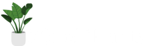 nobel plants